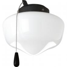  P2601-80WB - AirPro Collection One-Light Ceiling Fan Light