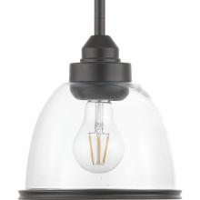  P500137-020 - Saluda Collection One-Light Mini-Pendant