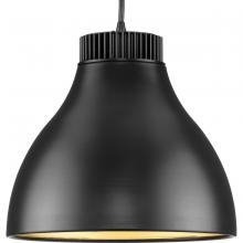  P500372-31M-30 - Radian LED Collection Modern Matte Black Metal Pendant