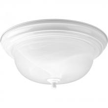  P3925-30 - Two-Light Dome Glass 13-1/4" Close-to-Ceiling