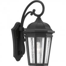  P560015-031 - Verdae Collection One-Light Medium Wall-Lantern