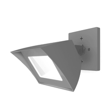  WP-LED335-50-AGH - Endurance™ Flood Light