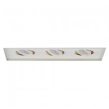  MT-316LEDTL-WT - Low Voltage Multiple Invisible Two Light Trim