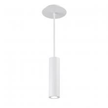  PD-W36610-WT - CALIBER Outdoor Pendant Light