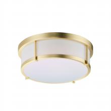  10273WTSBR - Rogue LED-Flush Mount