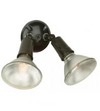  PH-2BLK - 2 Light PAR Holder in Black