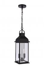  ZA7211-MN - Bent Tree 2 Light Outdoor Pendant in Midnight