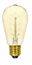  S2414 - 40 Watt ST19 Incandescent; Clear; 3000 Average rated hours; 160 Lumens; Medium base; 120 Volt