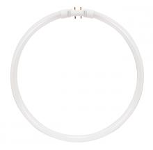  S2959 - 40 Watt; T5; Circline Fluorescent; 3500K Neutral White; 82 CRI; 2GX13 (4-Pin) base