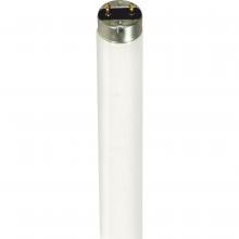  S7633 - 32 Watt; T8; Fluorescent; 4100K Cool White; Medium Bi Pin base; TF Shatter Proof