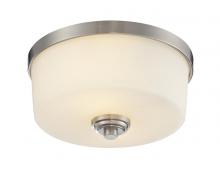  226F2 - 2 Light Flush Mount