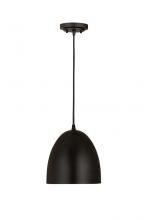  6012P9-SBK - 1 Light Pendant