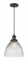  201C-BK-G222-LED - Seneca Falls - 1 Light - 10 inch - Matte Black - Cord hung - Mini Pendant