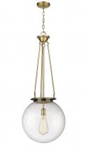  221-1P-BB-G204-16 - Beacon - 1 Light - 16 inch - Brushed Brass - Chain Hung - Pendant