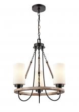  442-3CR-BK-G4421 - Paladin - 3 Light - 19 inch - Matte Black - Chain Hung - Mini Chandelier