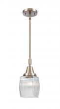  447-1S-SN-G302-LED - Colton - 1 Light - 6 inch - Brushed Satin Nickel - Mini Pendant