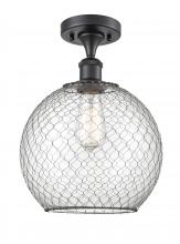  516-1C-BK-G122-10CBK-LED - Farmhouse Chicken Wire - 1 Light - 10 inch - Matte Black - Semi-Flush Mount