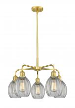  516-5CR-SG-G82 - Eaton - 5 Light - 24 inch - Satin Gold - Chandelier