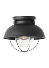  8869EN3-12 - Sebring transitional 1-light LED outdoor exterior ceiling flush mount in black finish with clear see