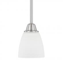  315111BN-337 - 1 Light Pendant