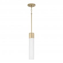  346211SF - 1 Light Pendant