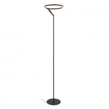  FL27766-BK - Roda 13-in Black LED Floor Lamp