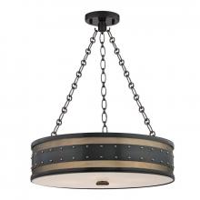  2222-AOB - 4 LIGHT PENDANT