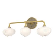  201342-SKT-86-84-FD0710 - Ume 3-Light Curved Arm Bath Sconce