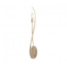  209120-SKT-84 - Willow Sconce