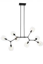  P1368-66A - Nexpo - 8 Light Chandelier