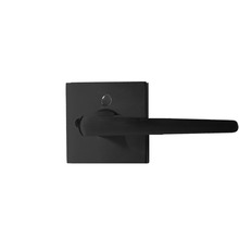  20481 - Sterling Lever Privacy - Matte Black(US19)