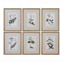  33651 - Green Floral Botanical Study Prints S/6