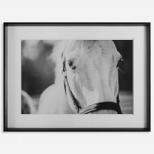  41464 - Eyes On The Prize Framed Print