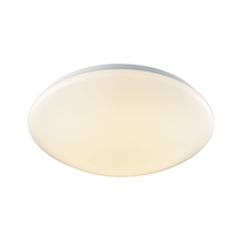  CL783024 - FLUSH MOUNT