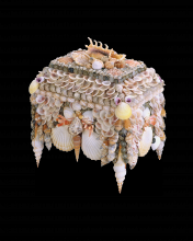  1251 - Boardwalk Natural Shell Jewelry Box